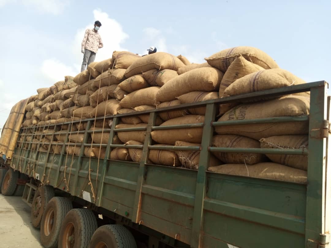 Truck loading — final stowing of jute sacks for transit